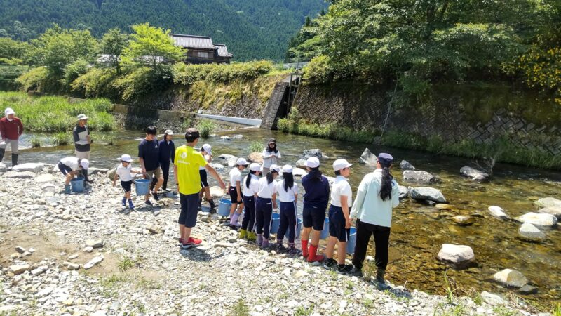 長谷小学校・幼稚園生とアユの放流体験を実施