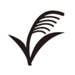 Hase Fun（長谷ファン）